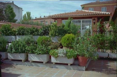 Gran Hostal El Chiscon كولمينار فيجو المظهر الخارجي الصورة